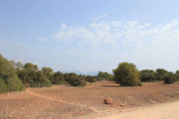 Punta de n'Amer Naturschutzgebiet